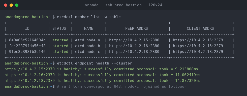 etcdctl member list and cluster health output after the bad switch was removed: all three nodes started and healthy, committing proposals in 9 to 15 milliseconds.